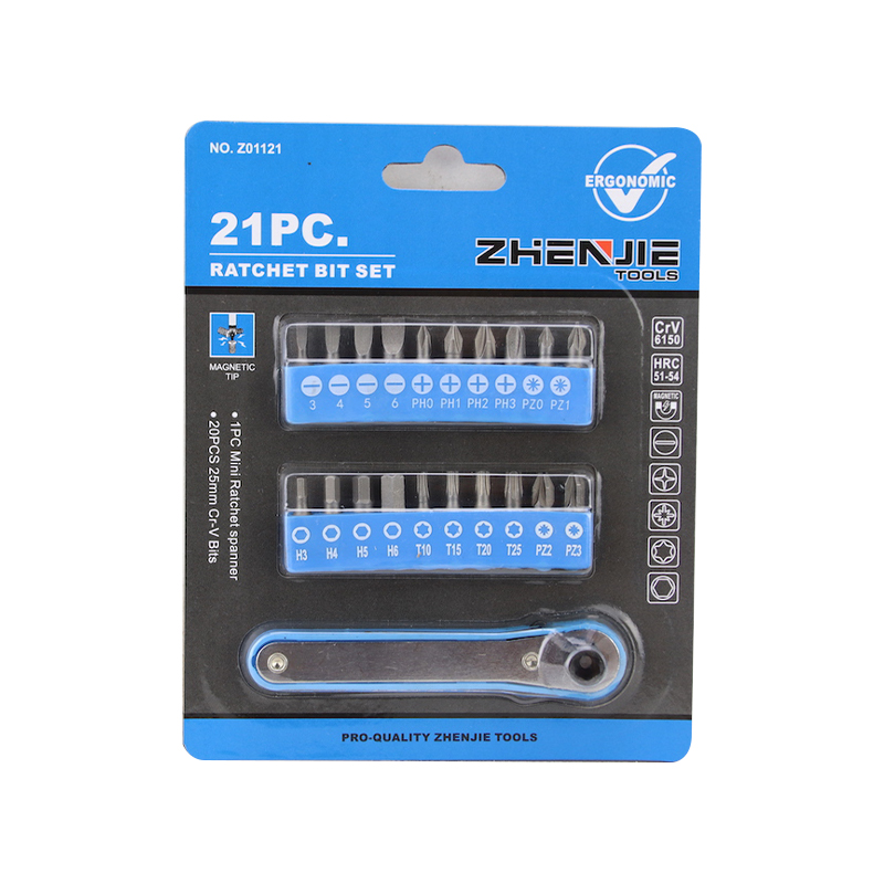 21pcs Slotted Phillips Pozidriv Hex Torx Ratchet বিট সেট