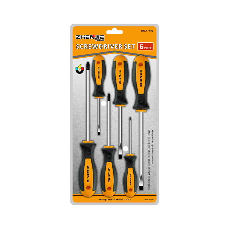 6pcs ডাবল ব্লিস্টার প্যাকেজিং স্লটেড এবং ফিলিপস সিআরভি স্ক্রু ড্রাইভার সেট